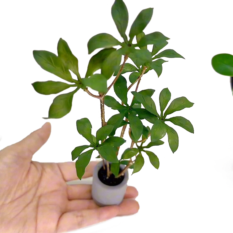 Bonsai Garden Plants - 1:6 miniatur rumah boneka Model tanaman