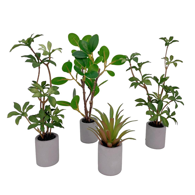 Bonsai Garden Plants - 1:6 miniatur rumah boneka Pot tanaman