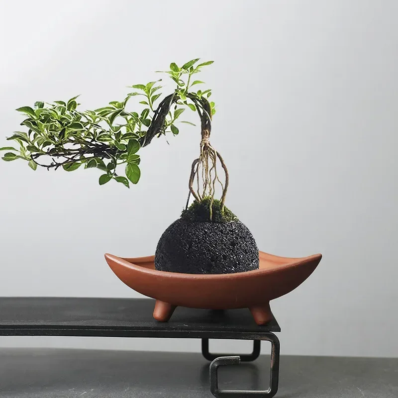 Japanese Garden Bonsai - Pot bunga keramik personalisasi untuk BAMBU
