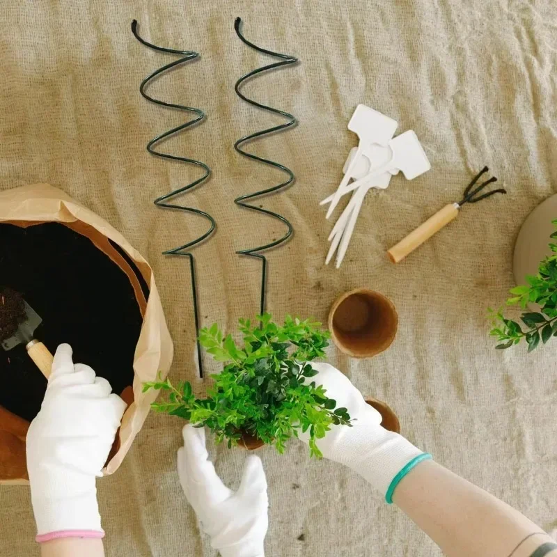 Penyangga Tanaman Merambat, Ra - Bonsai Garden Plants ulasan dan harga