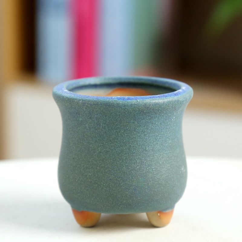 Keramik Pot bunga Mini berdagi - Training Pot Ceramic ulasan dan harga