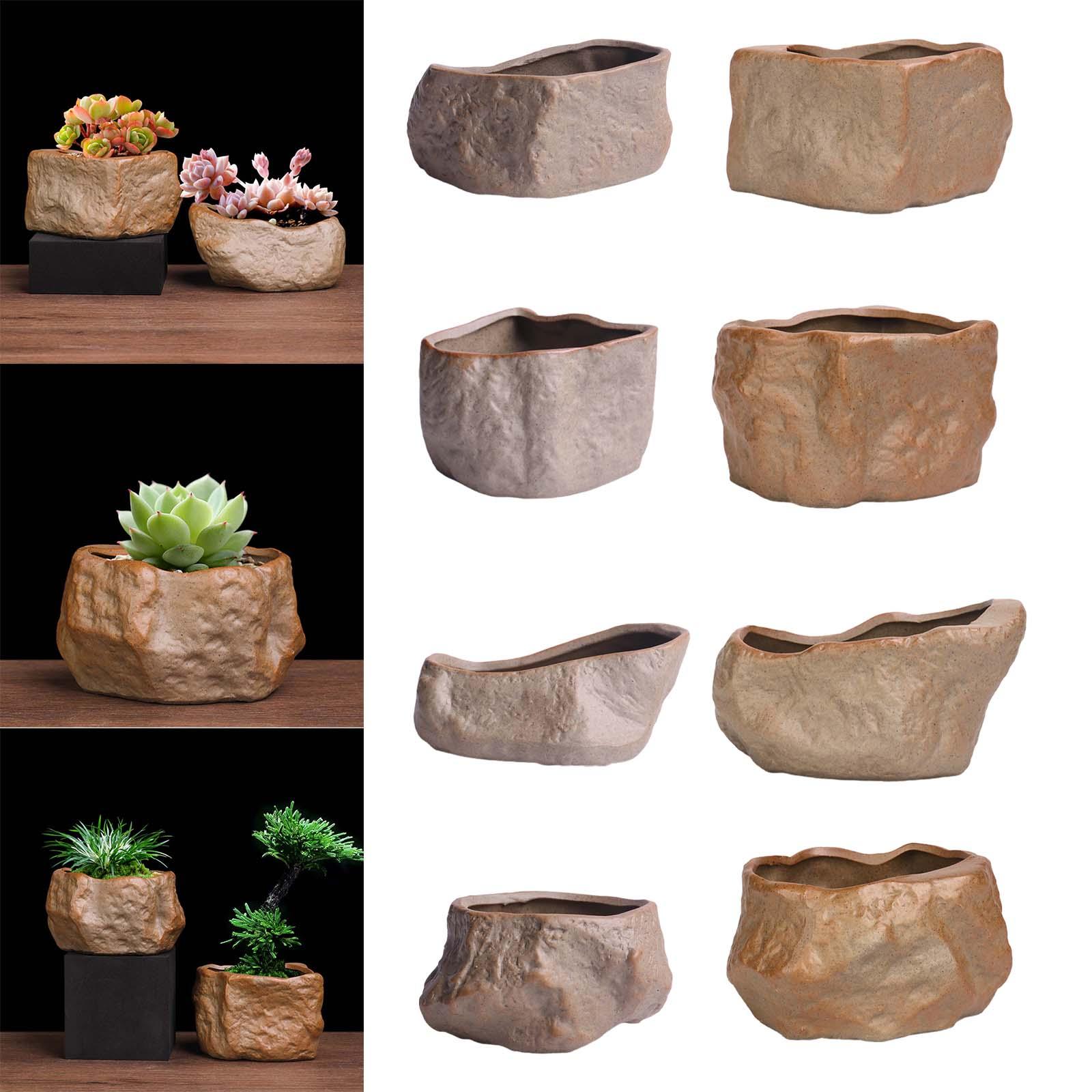 Pot Sukulen Keramik Ringan, Po - Training Pot Ceramic ulasan dan harga