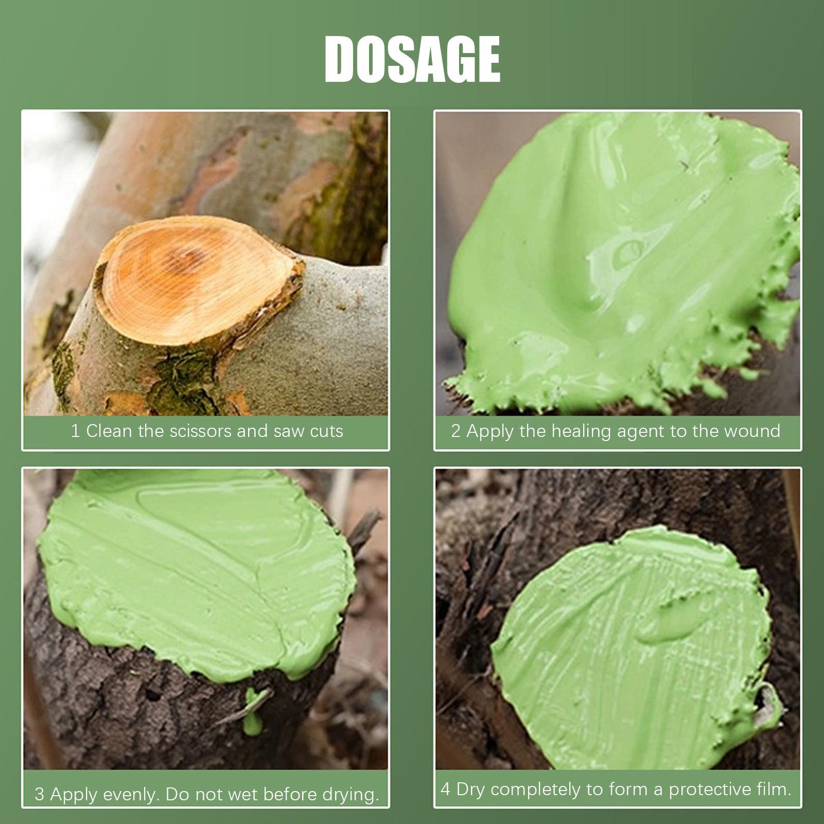 Agen Penyegel Pemangkasan Tana - Bonsai Garden Plants ulasan dan harga
