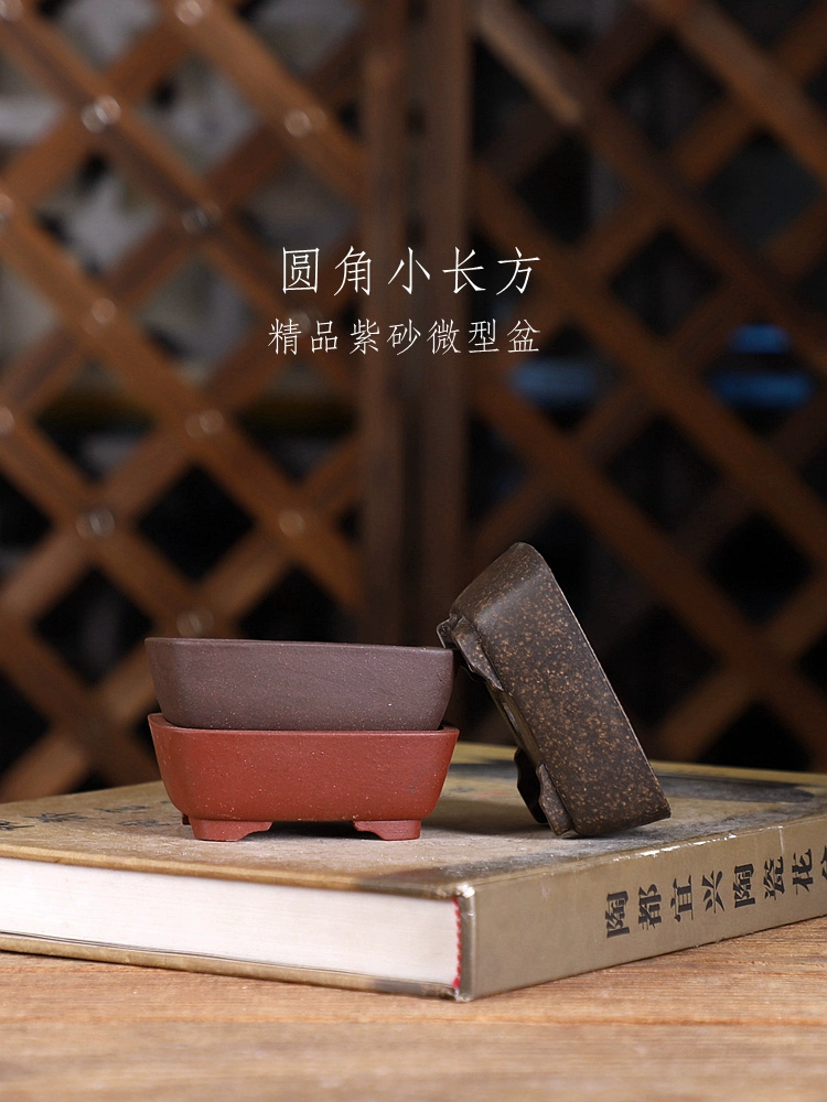 Pasir ungu sudut bulat persegi - Bonsai Garden With Sand ulasan dan harga