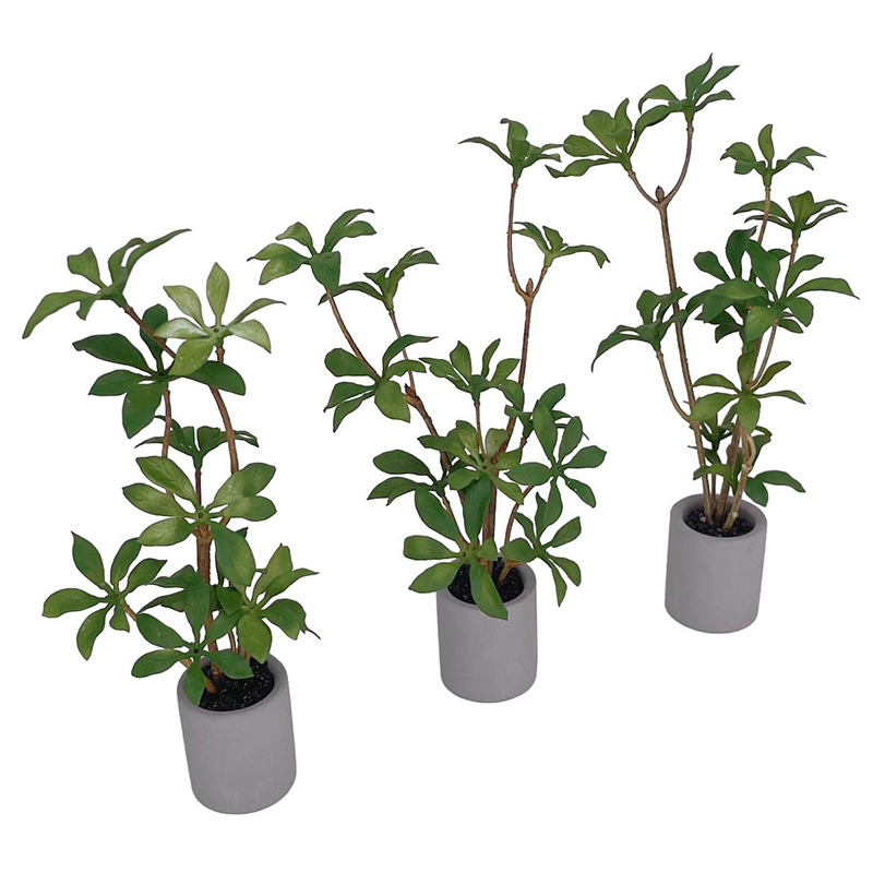 1:6 miniatur rumah boneka Pot  - Bonsai Garden Plants ulasan dan harga
