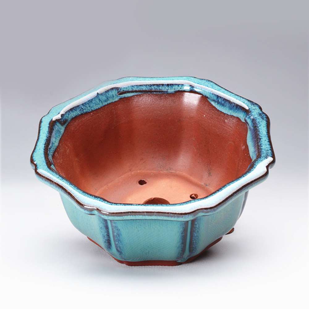 Pot Bonsai Gaya Cina, Pot Bons - Training Pot Ceramic ulasan dan harga