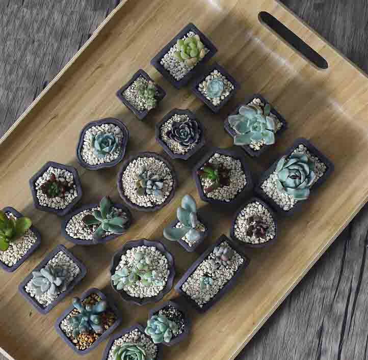 Yixing Ungu Pasir Pot Bunga Mi - Japanese Garden Bonsai ulasan dan harga