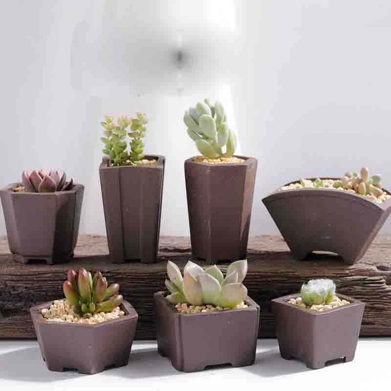 Yixing Ungu Pasir Pot Bunga Mi - Japanese Garden Bonsai ulasan dan harga