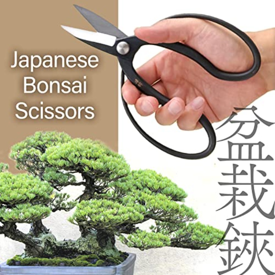 Gunting Bonsai Suiryu Jepang - - Bonsai Garden Japan ulasan dan harga