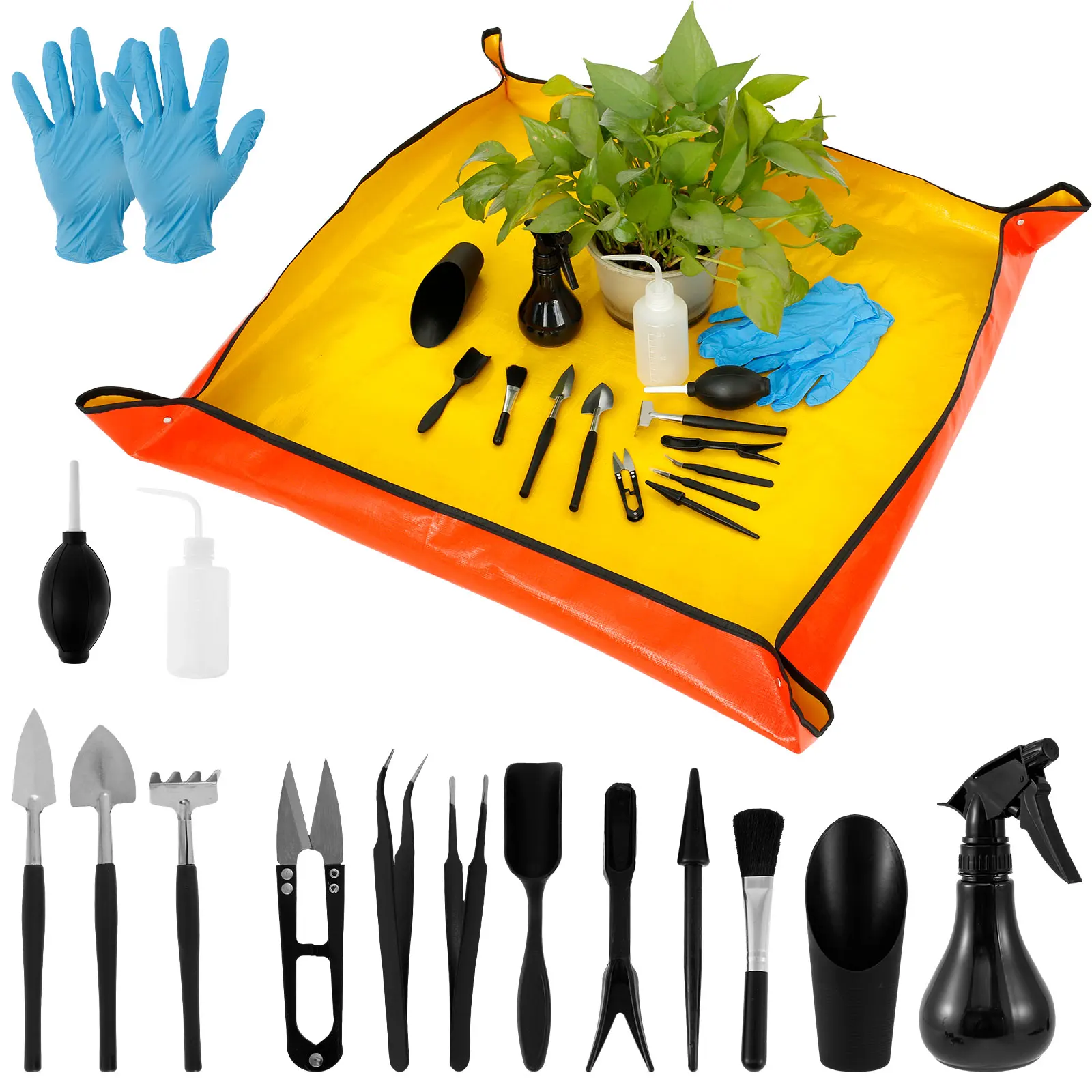 Alat tanaman sukulen 13/16 bua - Bonsai Garden Plants ulasan dan harga