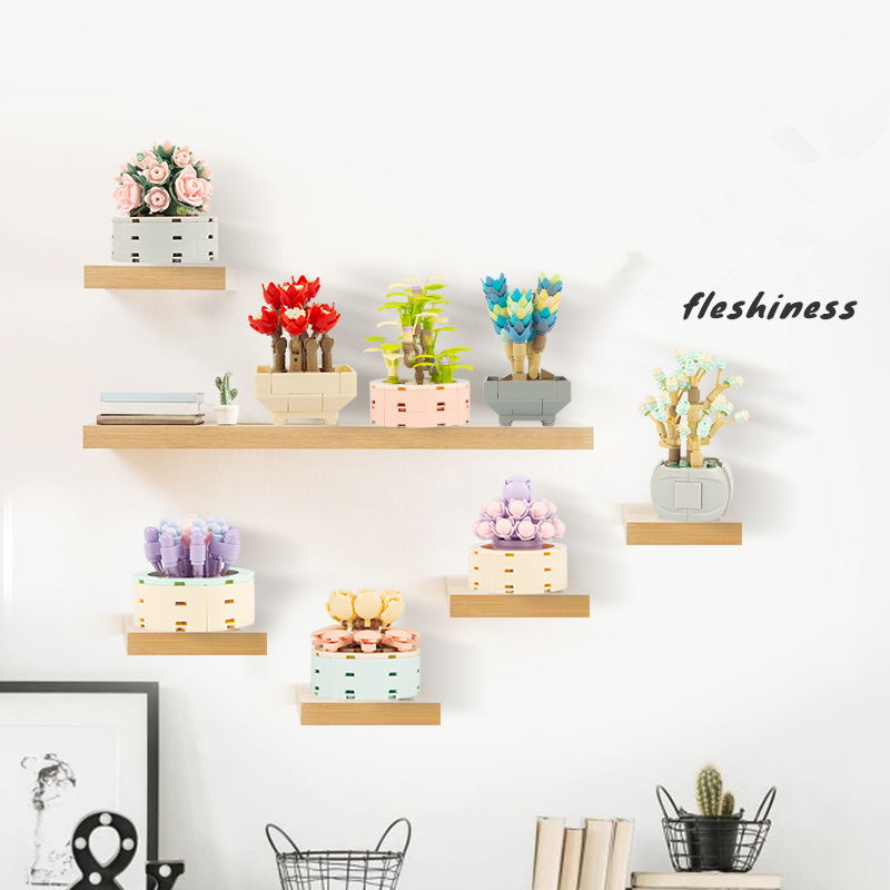 DIY MOC Tanaman Pot Sukulen Ka - Bonsai Garden Experts ulasan dan harga
