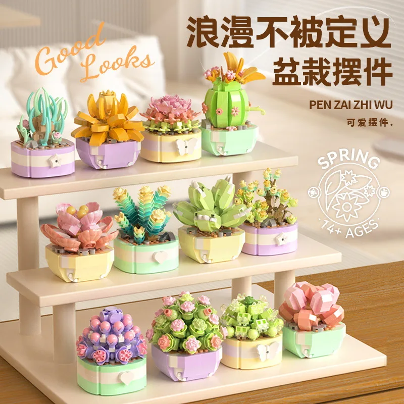 Bunga sukulen blok bangunan ka - Bonsai Garden Plants ulasan dan harga
