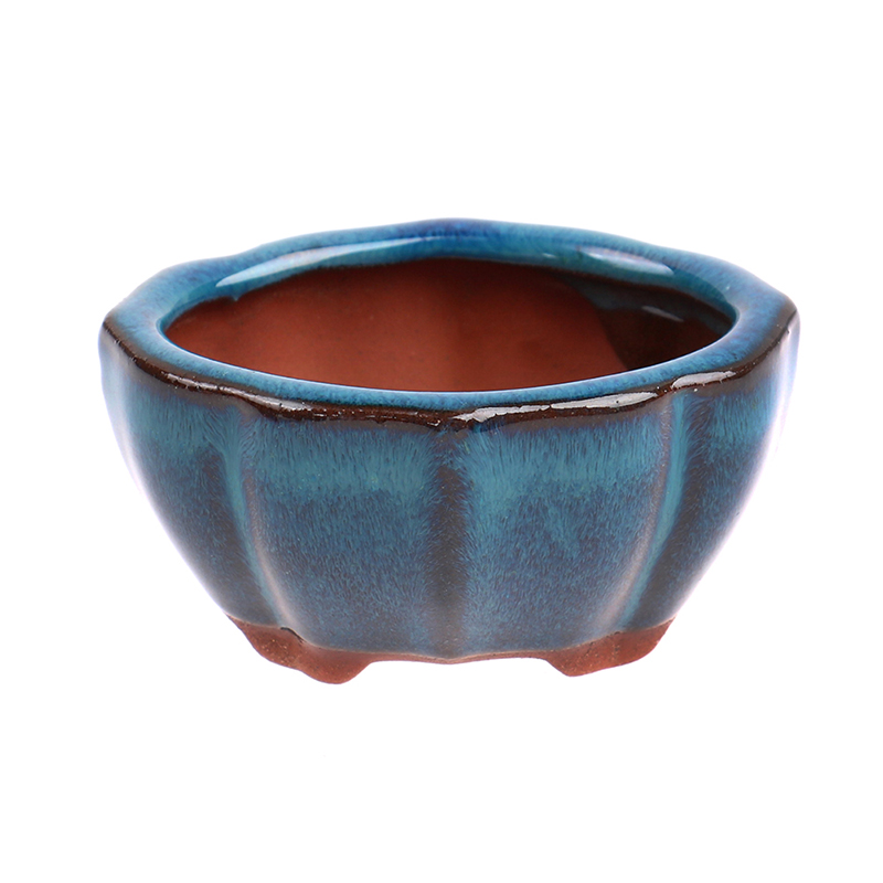 1 buah gaya Cina Bonsai Pot bu - Japanese Garden Bonsai ulasan dan harga