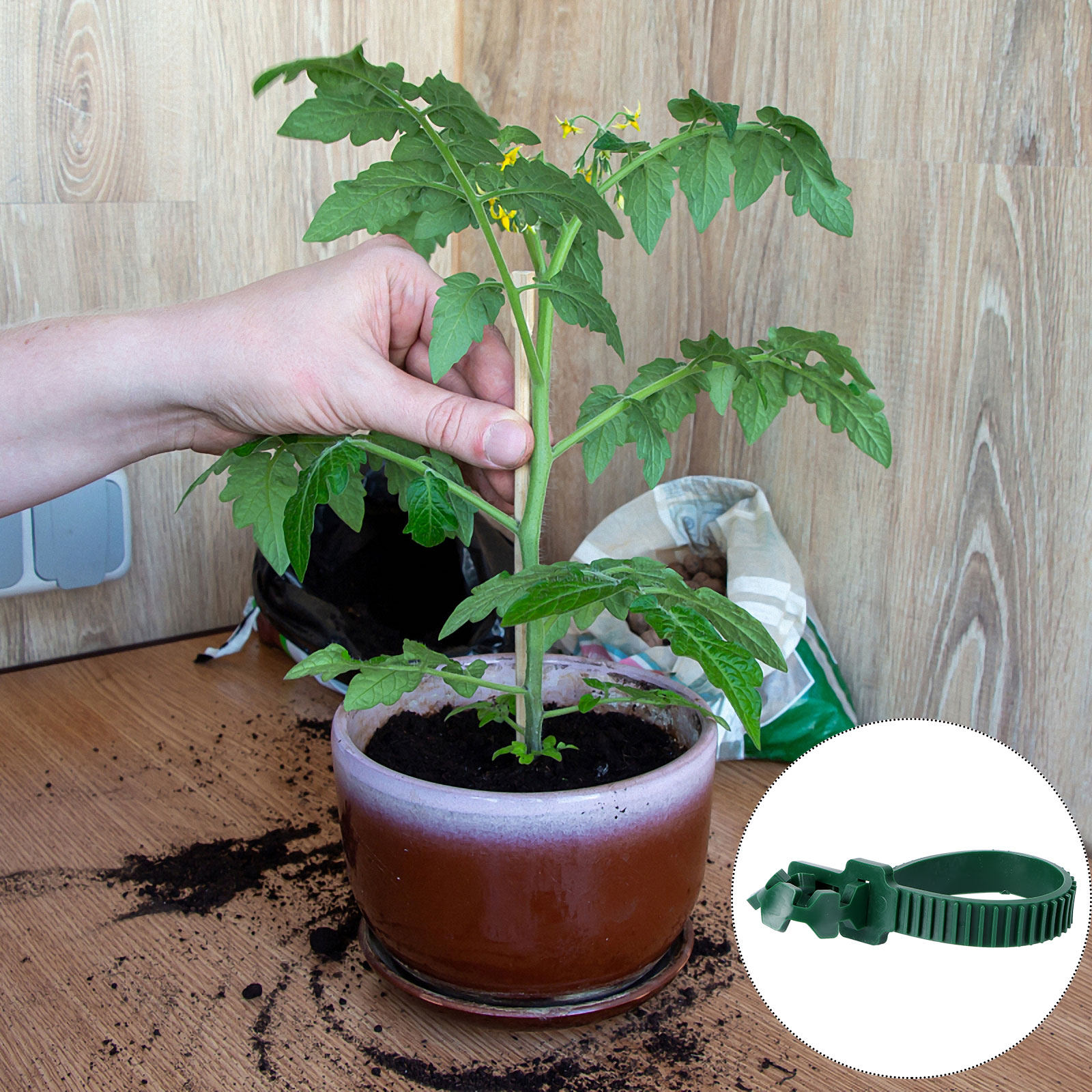 20 Buah Klip Penyangga Tanaman - Bonsai Garden Plants ulasan dan harga