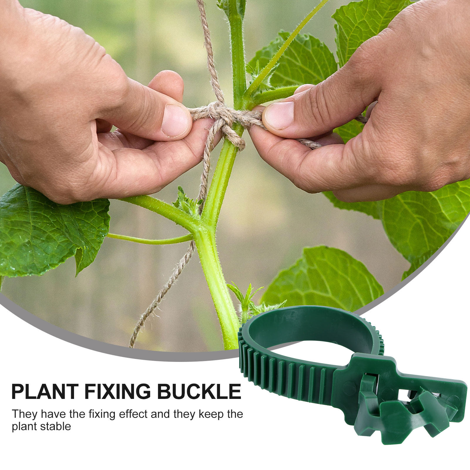 20 Buah Klip Penyangga Tanaman - Bonsai Garden Plants ulasan dan harga