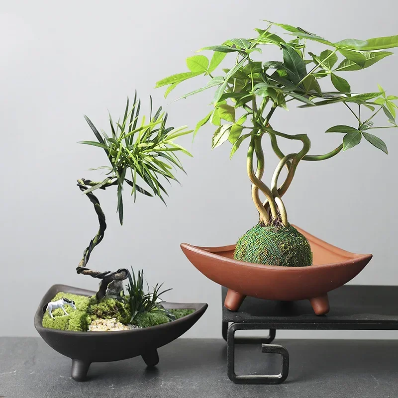 Pot bunga keramik personalisas - Japanese Garden Bonsai ulasan dan harga