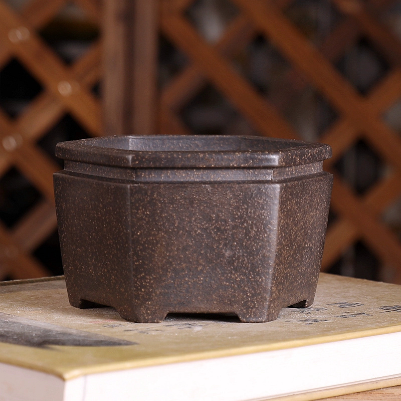 Pot Bonsai segi enam, pasir un - Bonsai Garden With Sand ulasan dan harga