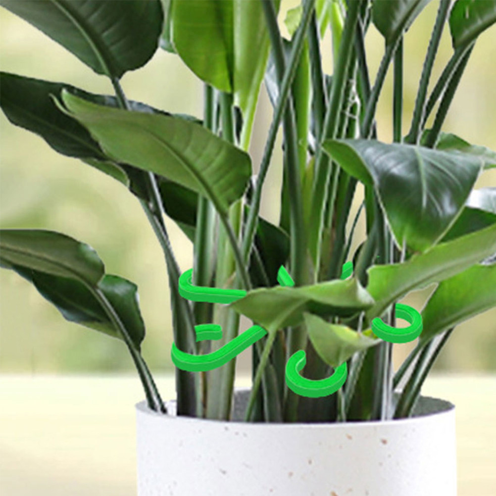 12 Buah Penjepit Batang Tanama - Bonsai Garden Plants ulasan dan harga